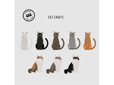 illustration mariage